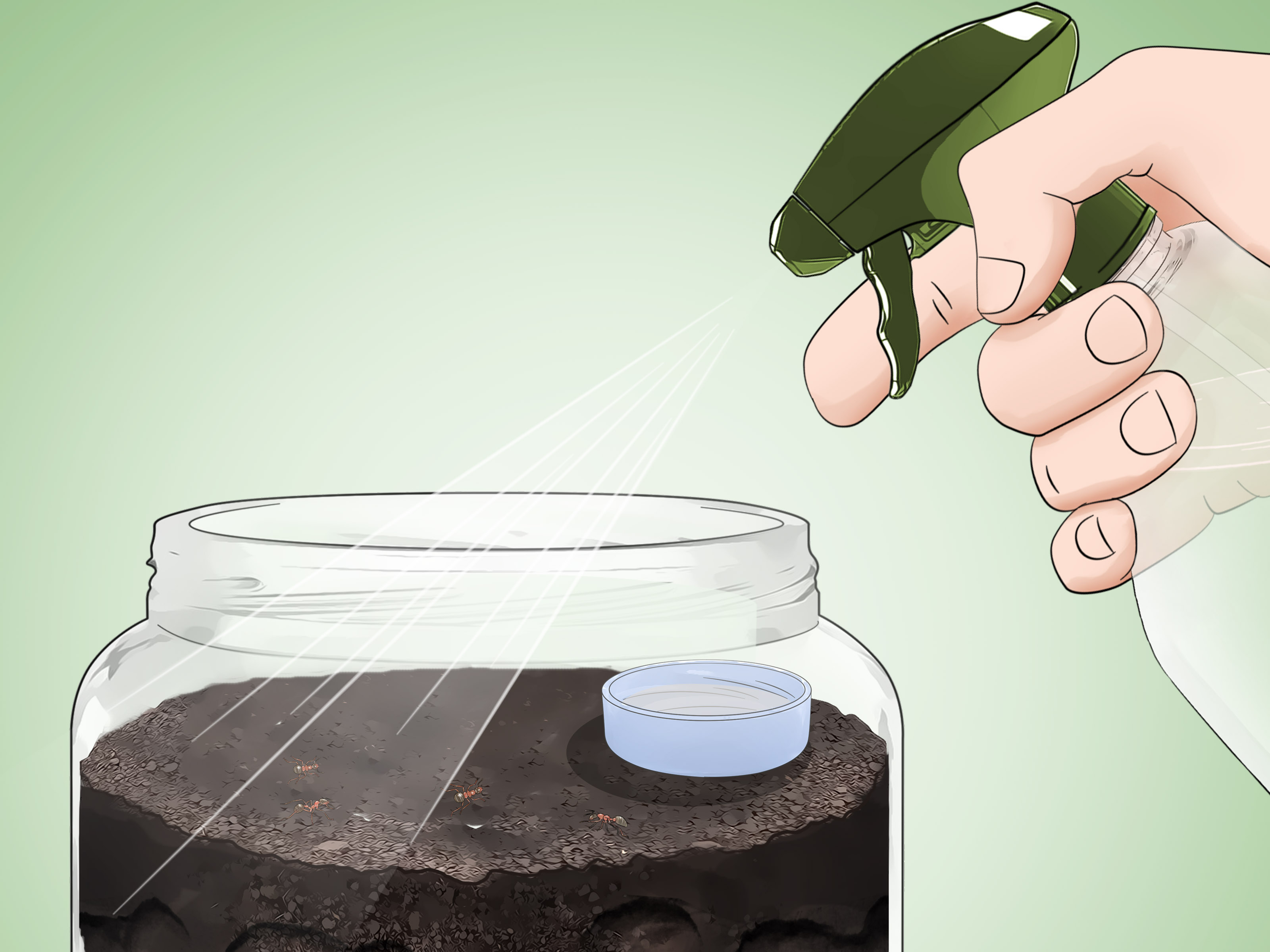 www.wikihow.com