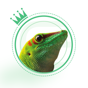 academy.herpeton.net