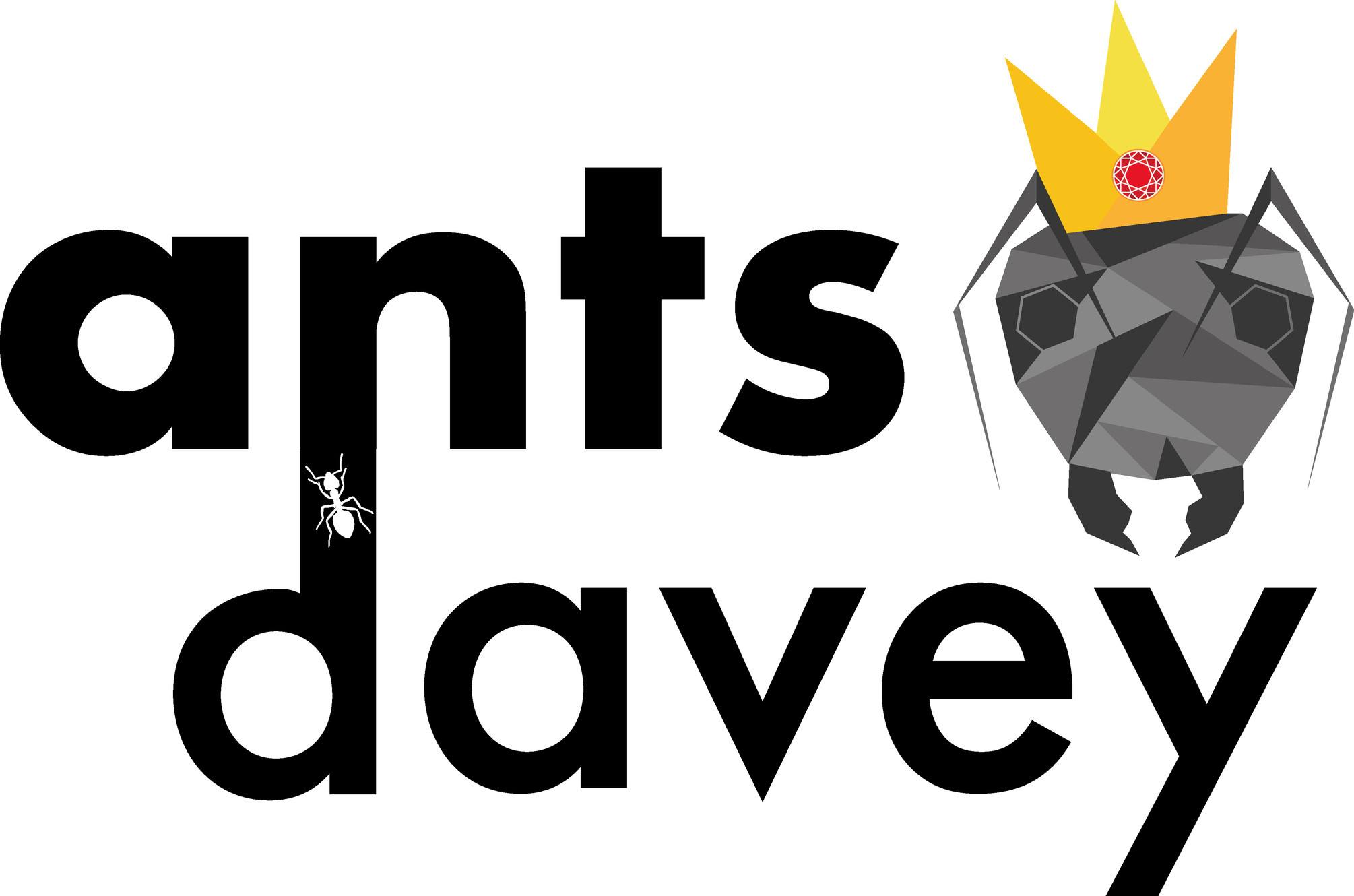 www.antsdavey.co.uk