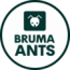 www.brumaants.com